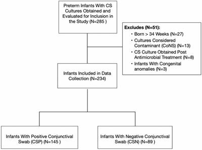 Frontiers | Preterm Infants With Positive Conjunctival Swab Culture ...